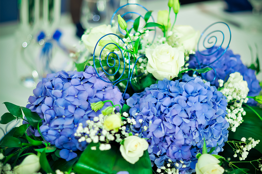 gallery/florist_1