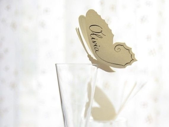 gallery/oo